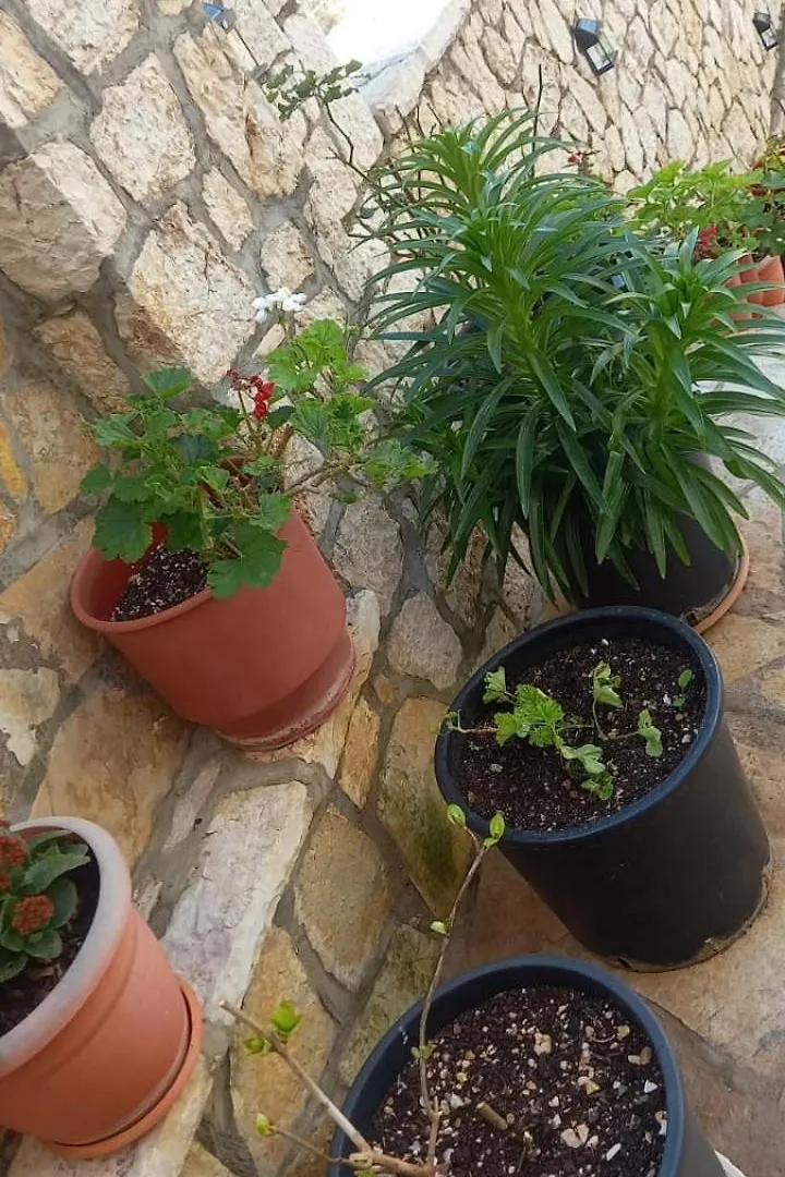 Himara Apartments Himare